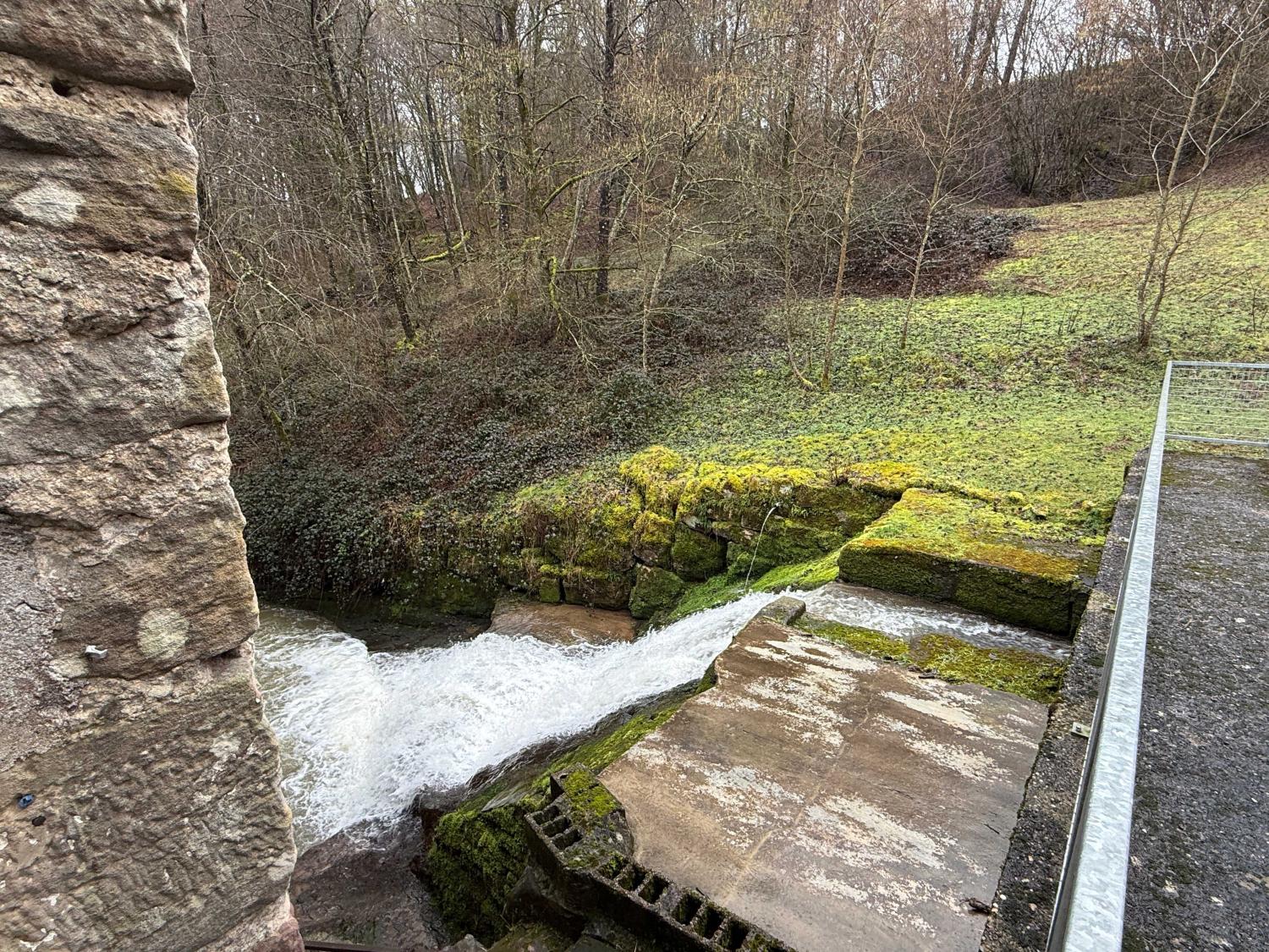  à vendre gîtes/ chambres d'hôtes Viviers-le-Gras Vosges 15