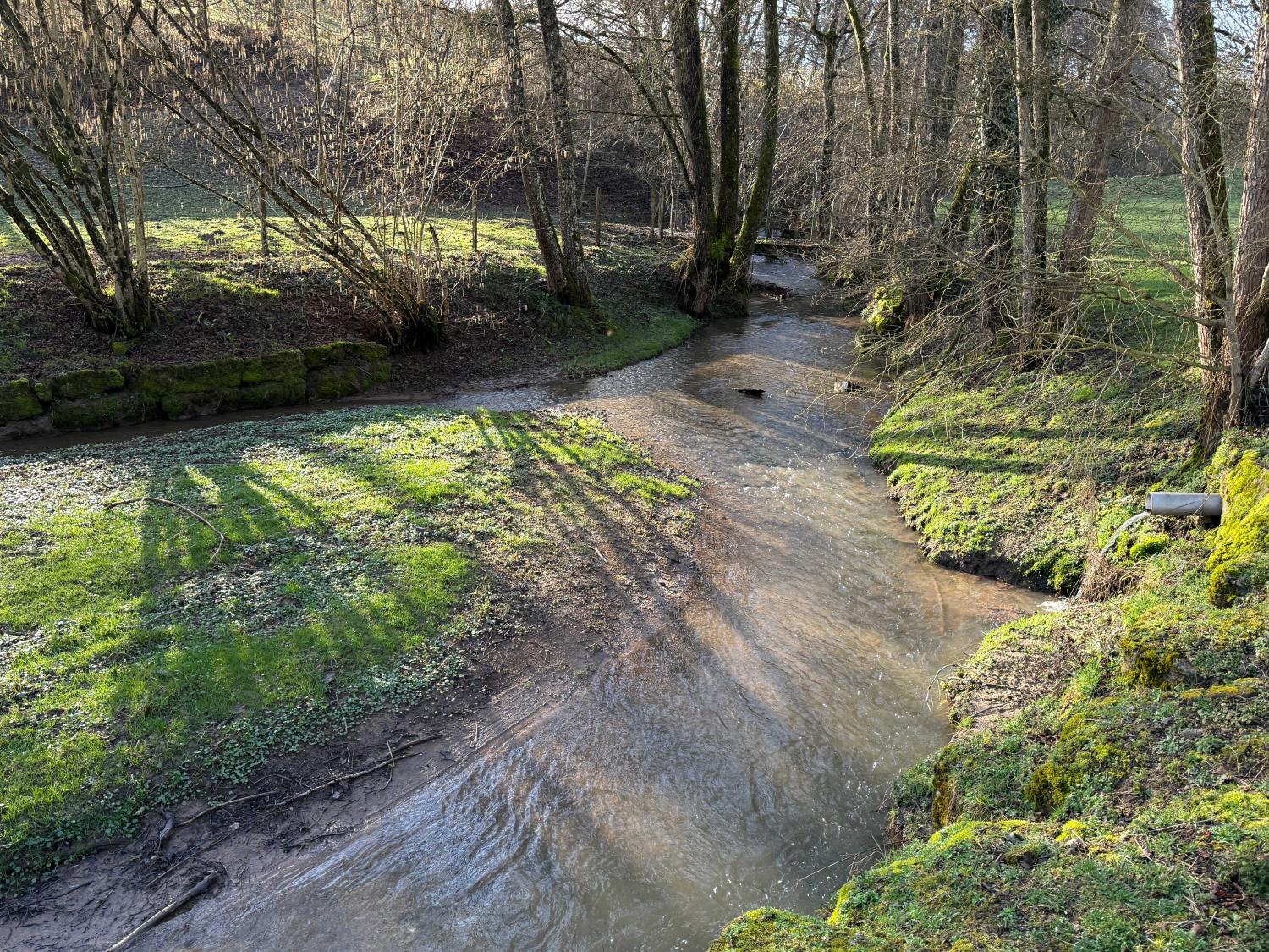  à vendre gîtes/ chambres d'hôtes Viviers-le-Gras Vosges 47