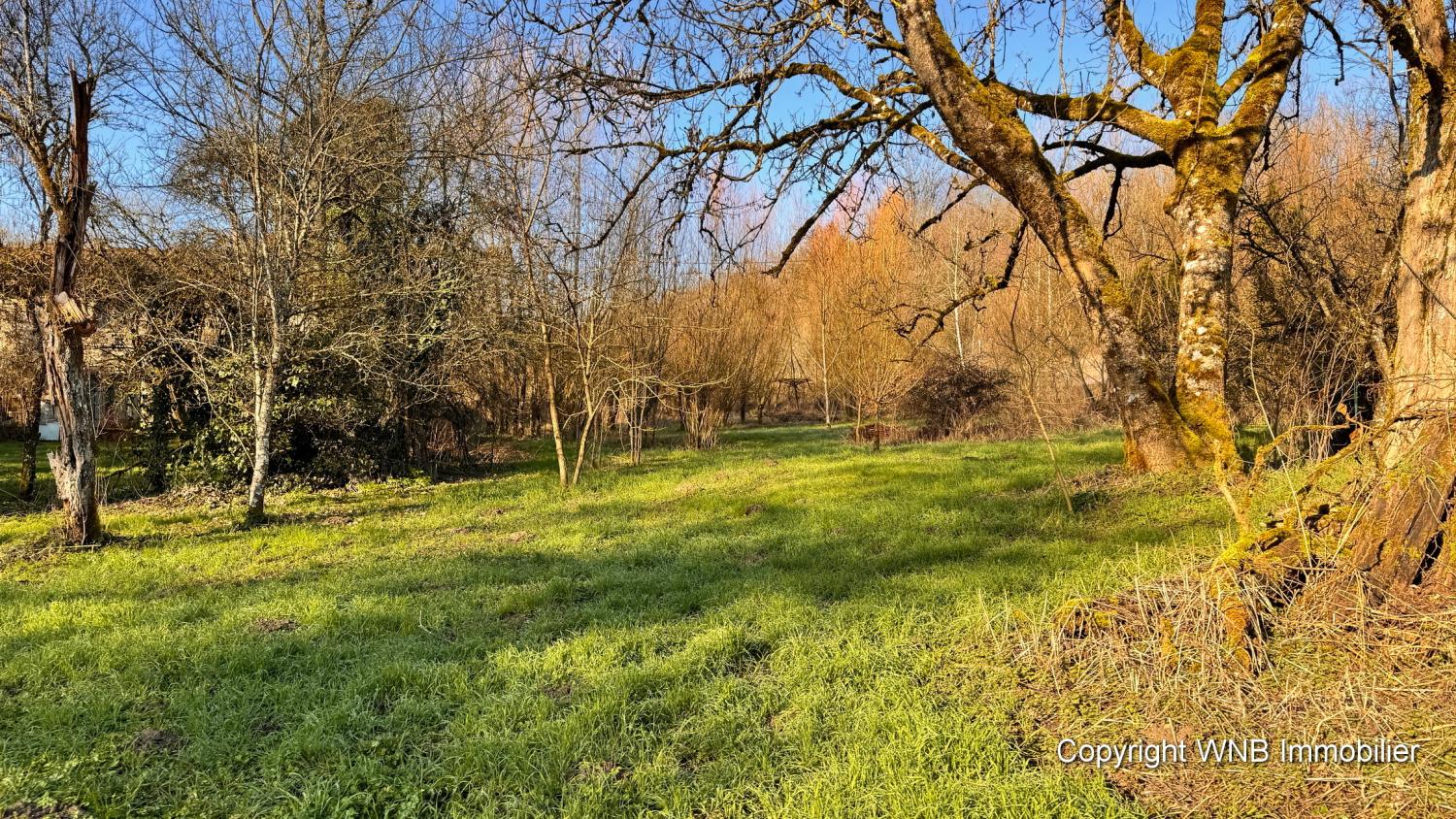  à vendre ferme de village Serécourt Vosges 11