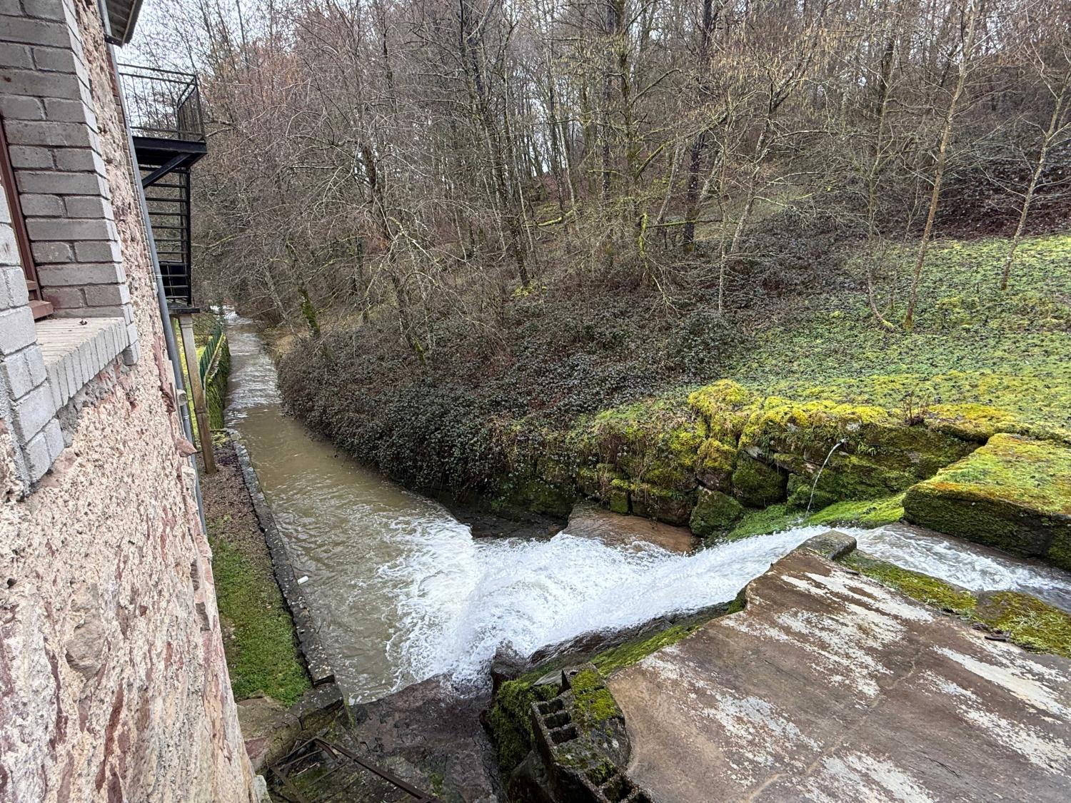  à vendre gîtes/ chambres d'hôtes Viviers-le-Gras Vosges 7