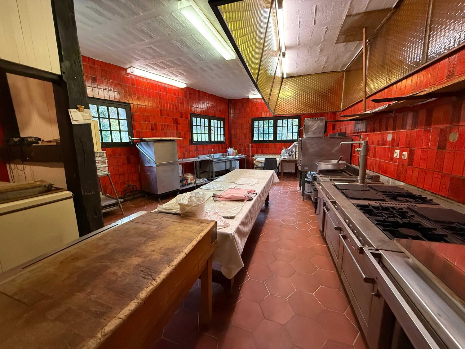  à vendre gîtes/ chambres d'hôtes Viviers-le-Gras Vosges 26