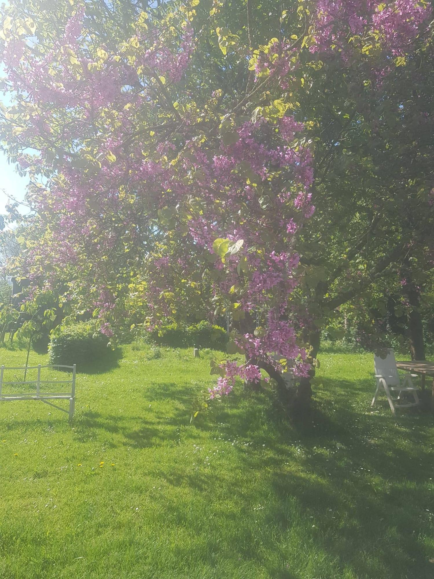  à vendre maison indépendant Saint-Denis-le-Gast Manche 25