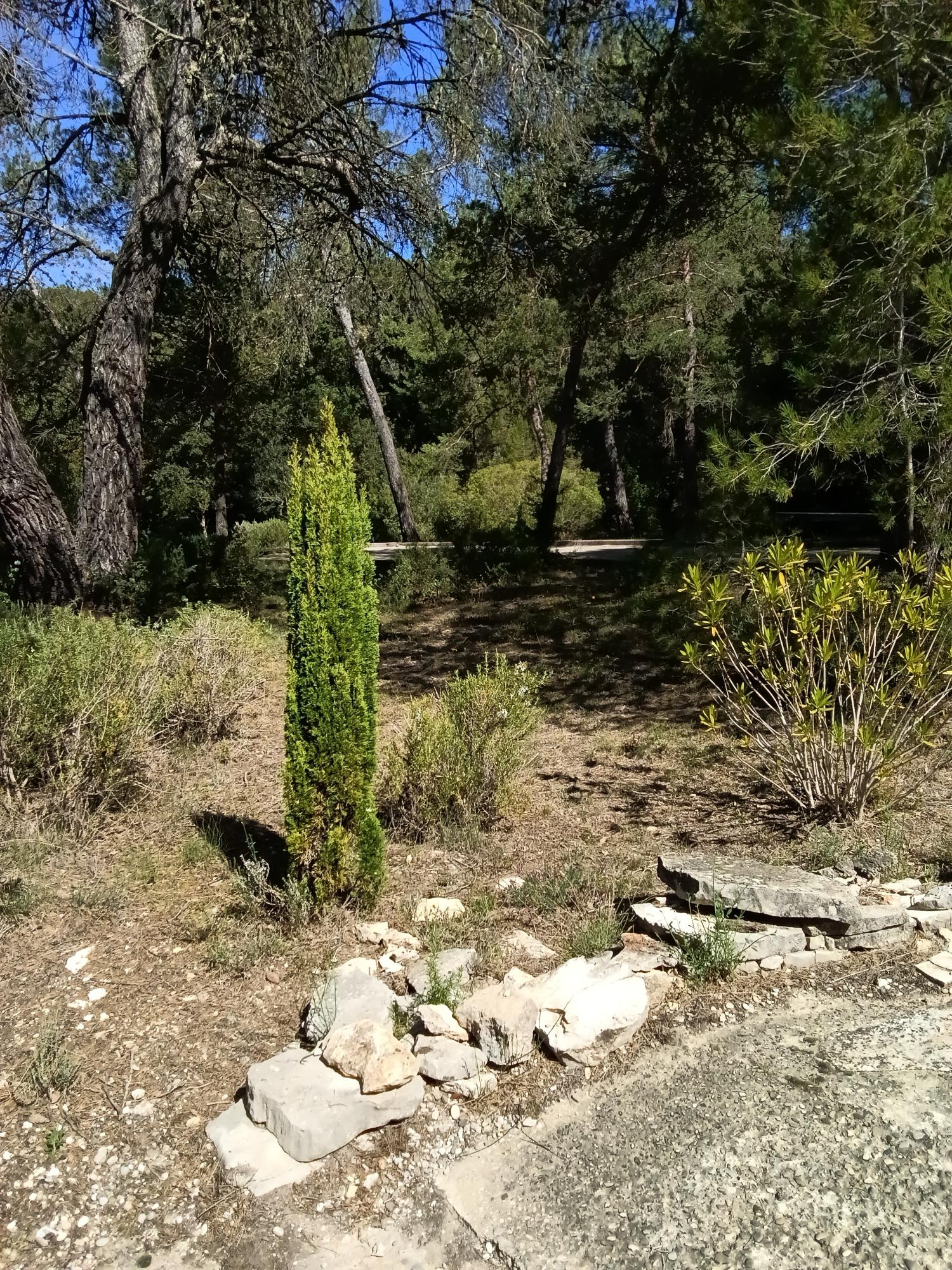  à vendre propriété Ginasservis Var 27