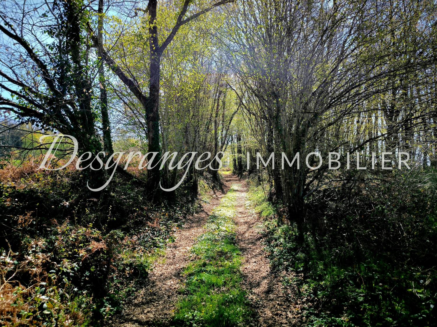  à vendre propriété Payzac Dordogne 31