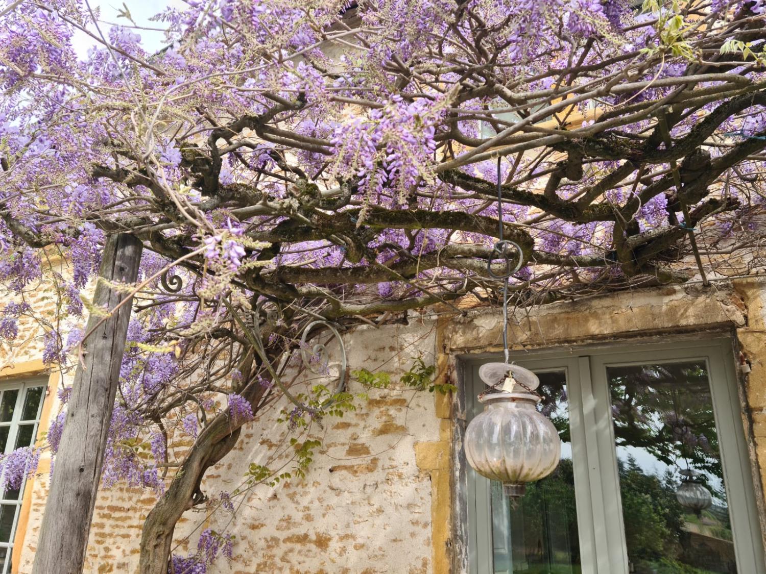  à vendre maison Pommiers Rhône 6