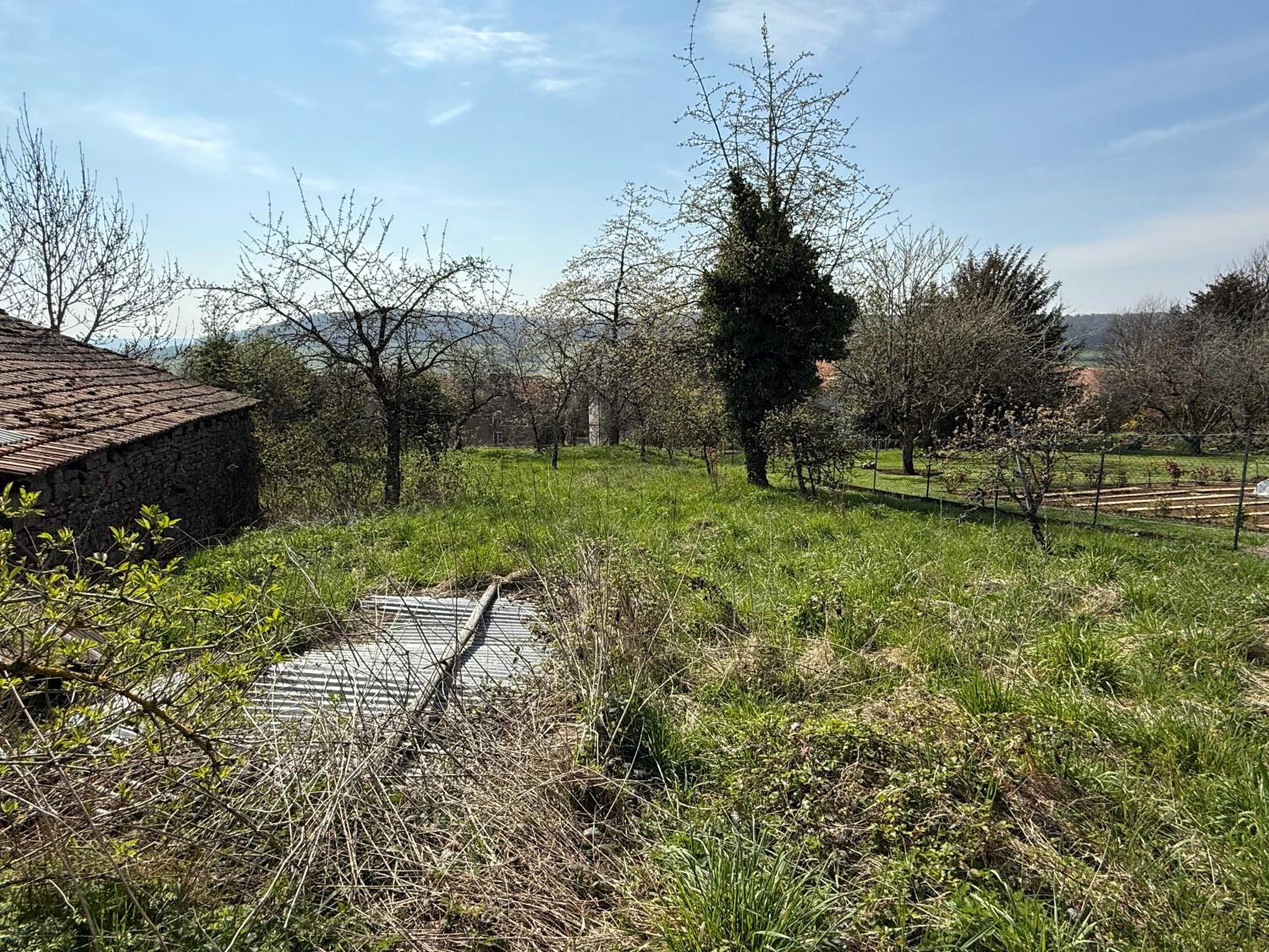  à vendre ferme de village Beaufremont Vosges 8