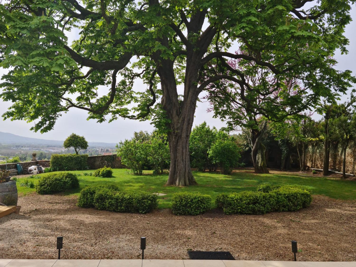  à vendre maison Pommiers Rhône 5