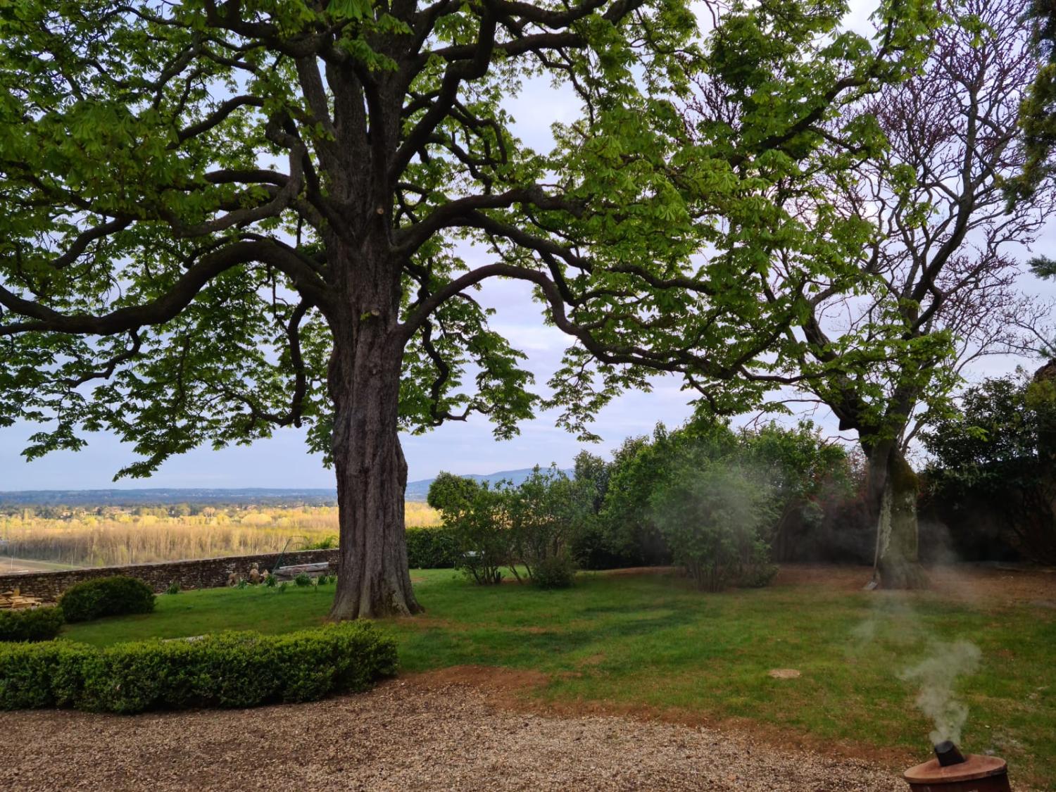  à vendre maison Pommiers Rhône 23