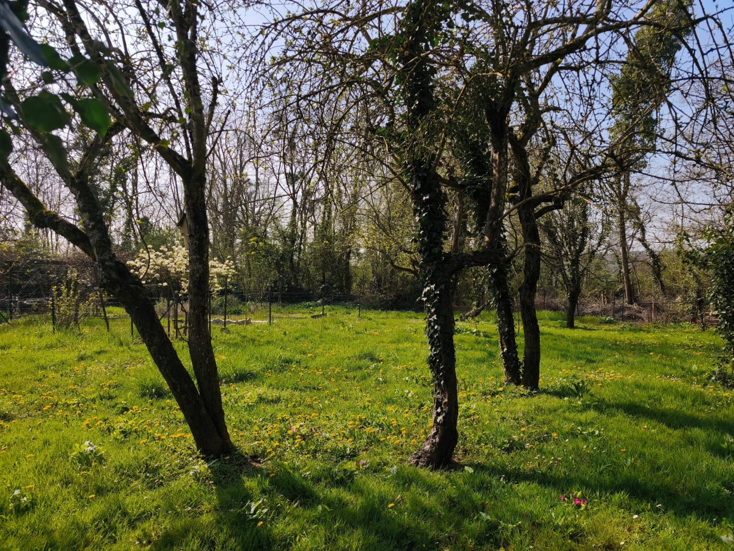 à vendre maison écologique Tazilly Nièvre 19