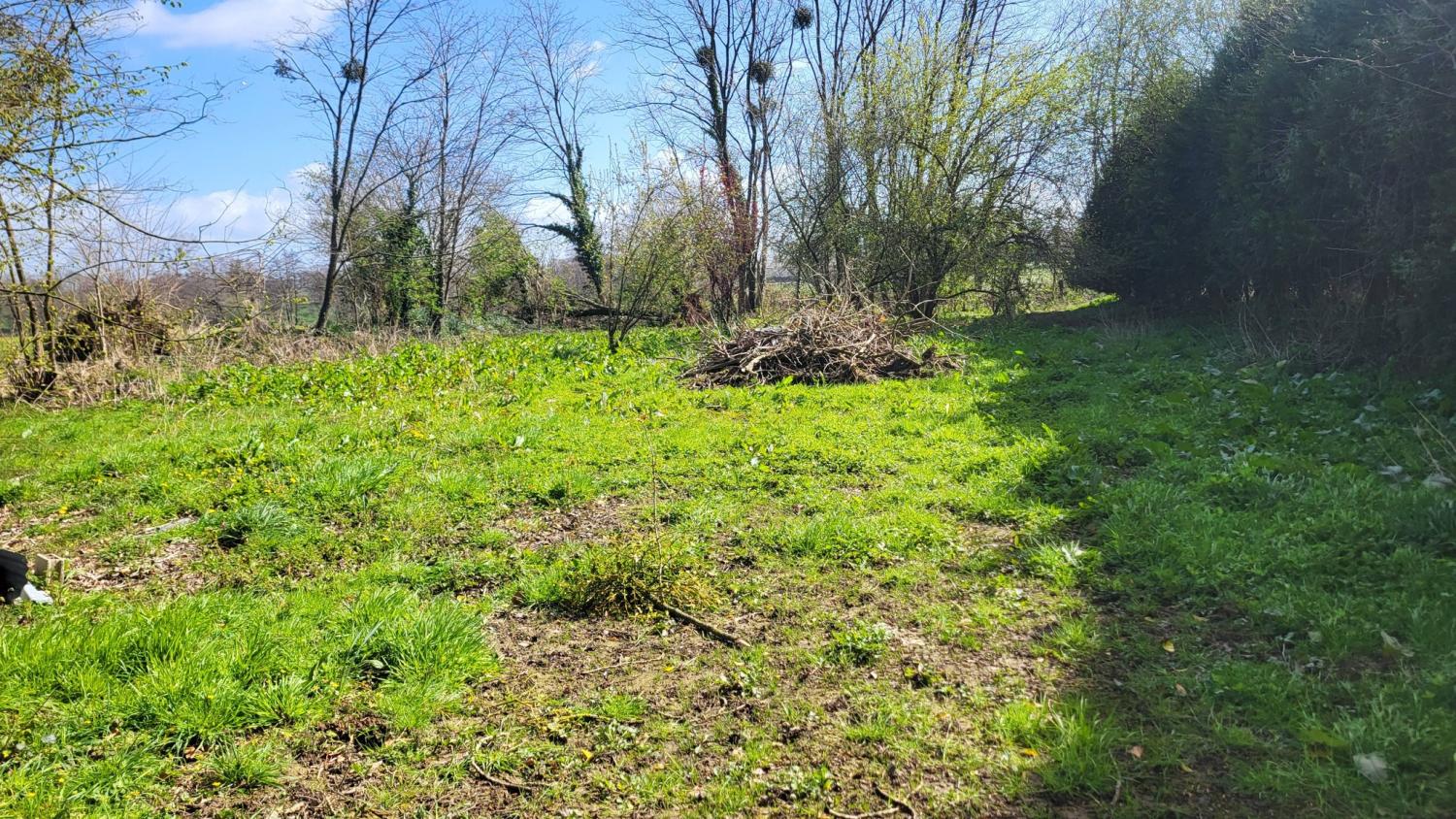  à vendre maison indépendant Maupertuis Manche 4