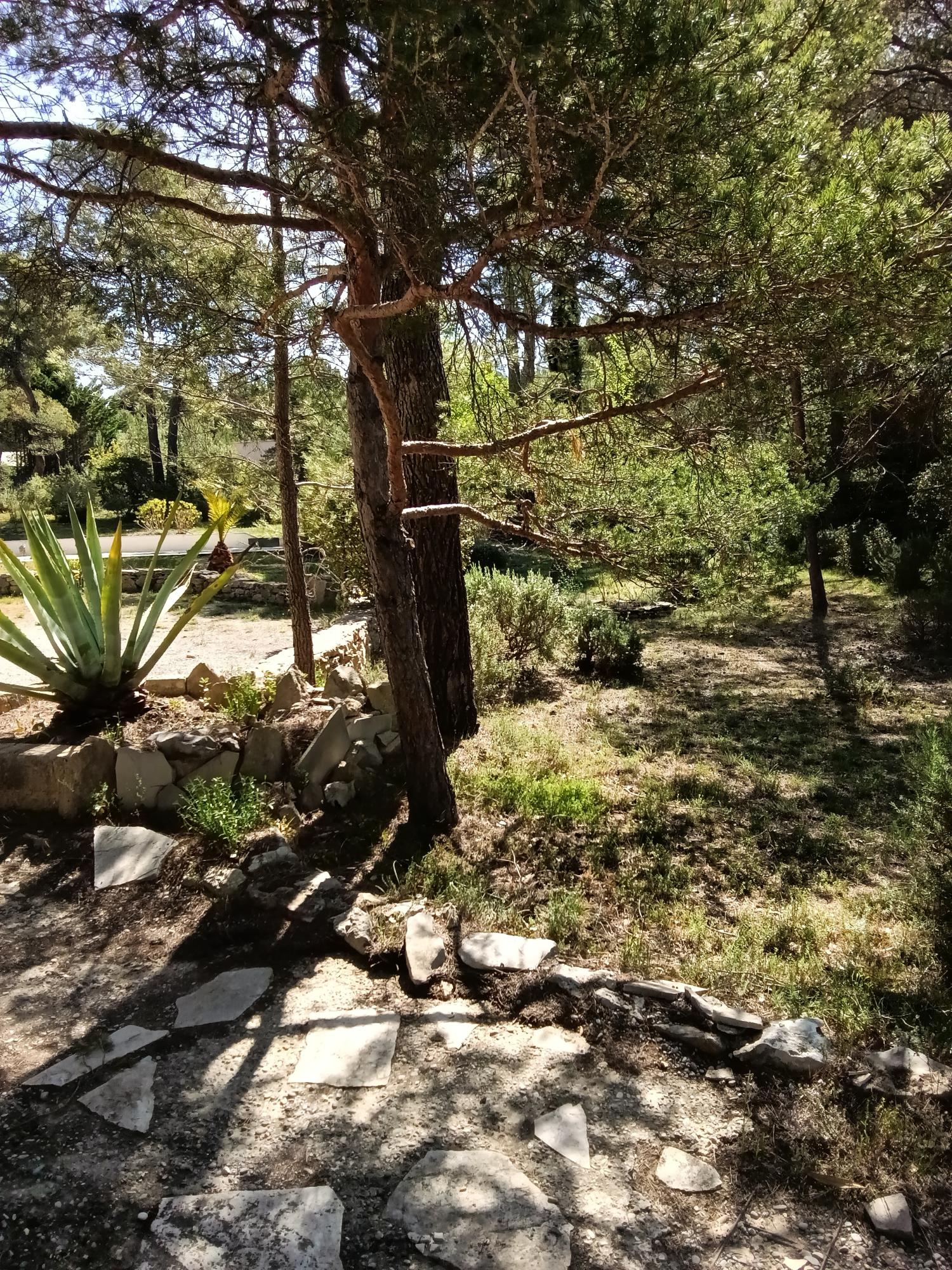  à vendre propriété Ginasservis Var 28