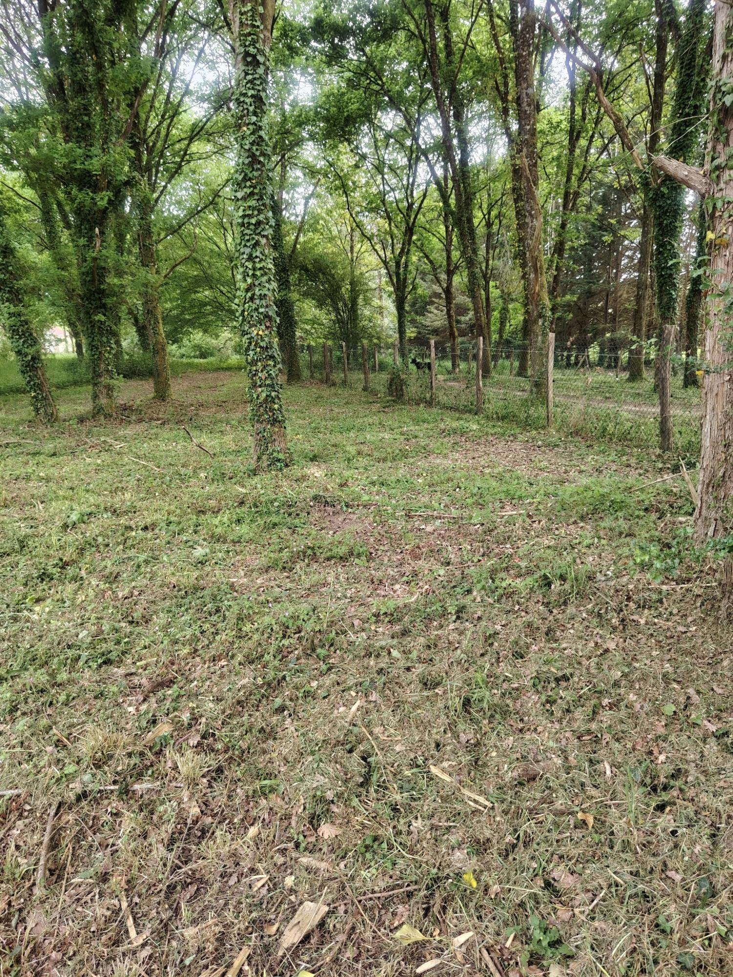  à vendre maison Saint-Malo-en-Donziois Nièvre 23