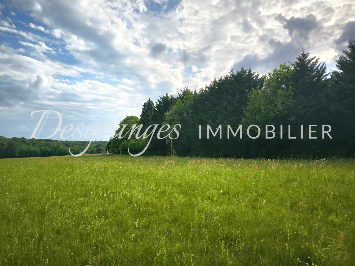  à vendre terrain à bâtir Payzac Dordogne 1