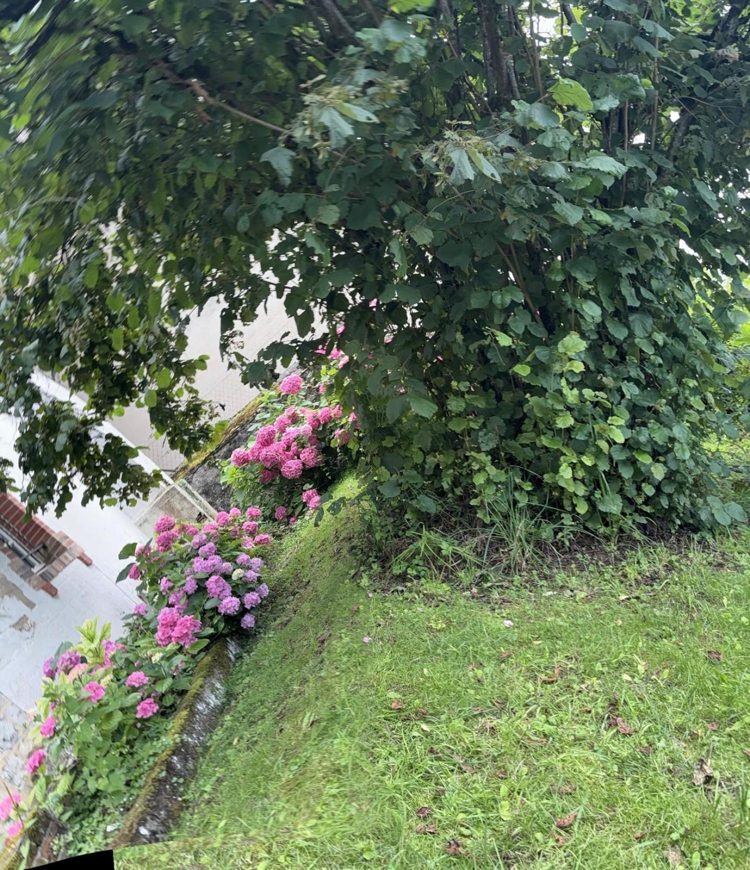  à vendre maison bourgeoise Châtillon-en-Bazois Nièvre 2