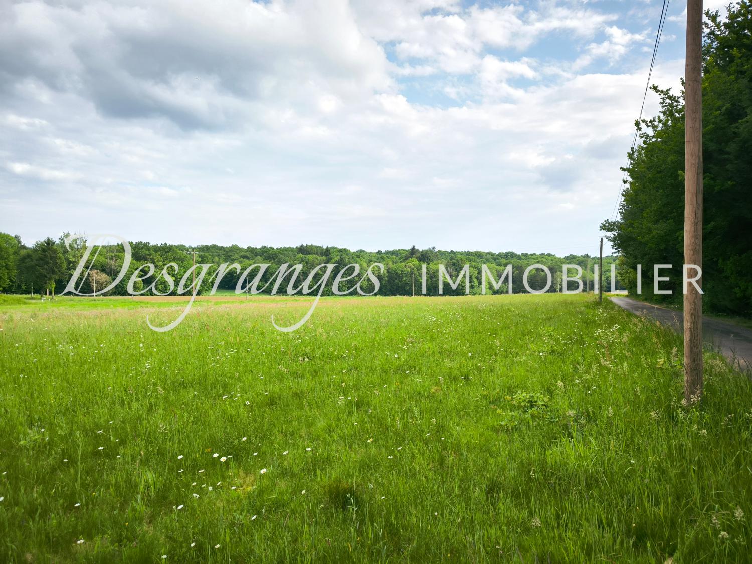  à vendre terrain à bâtir Payzac Dordogne 2
