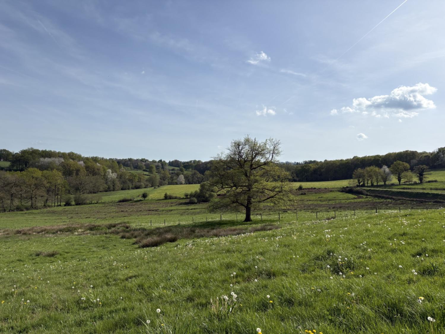 à vendre maison avec gîte Nexon Haute-Vienne 4