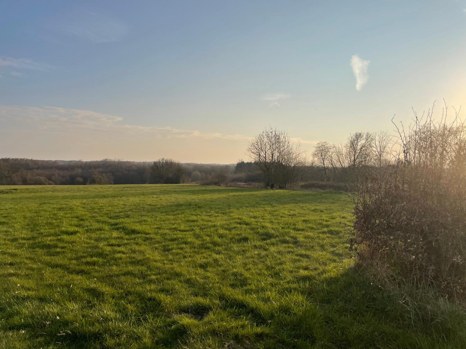 à vendre terrain à bâtir Taillette Ardennes 3