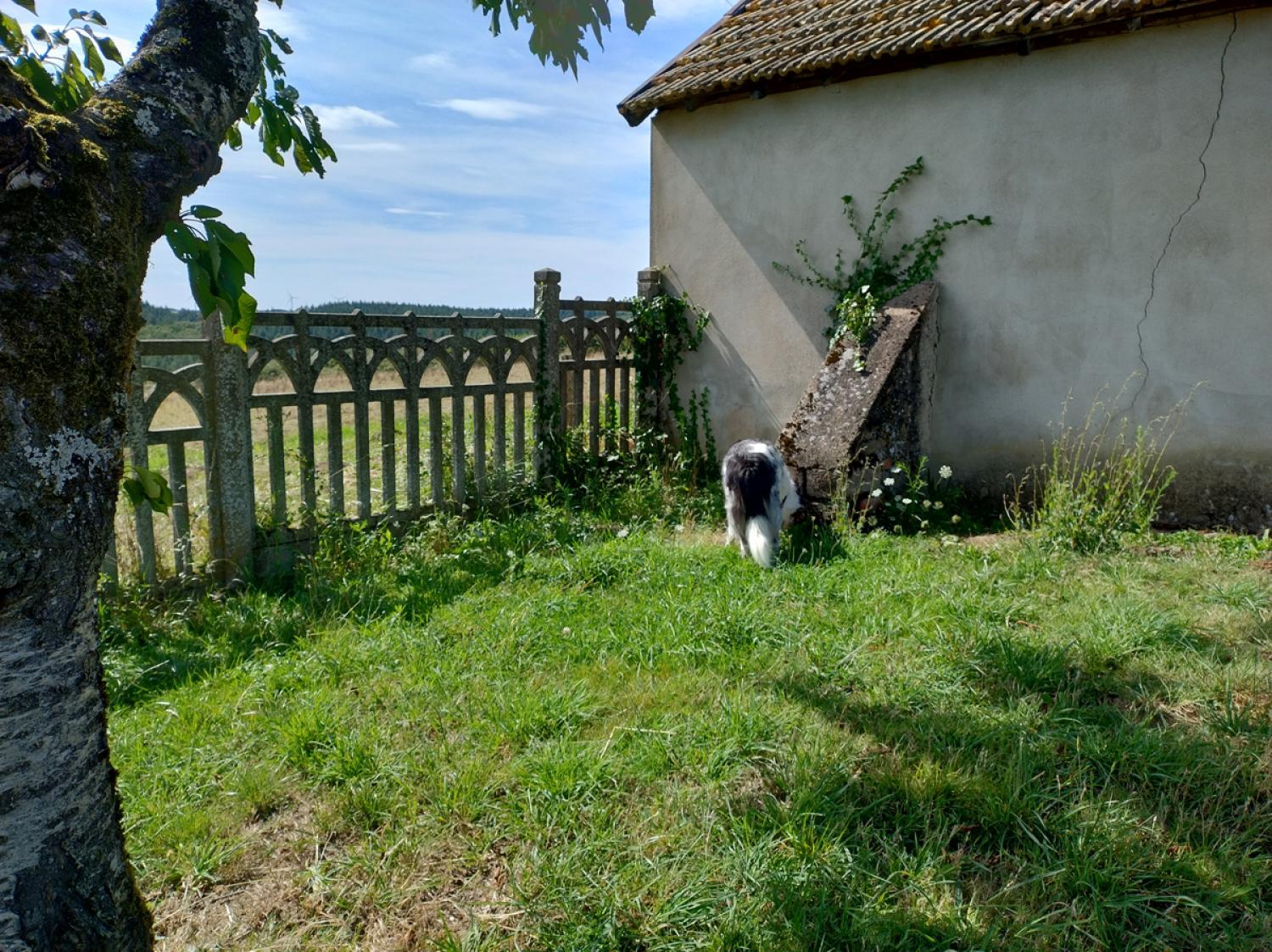  à vendre ferme Uxeau Saône-et-Loire 8