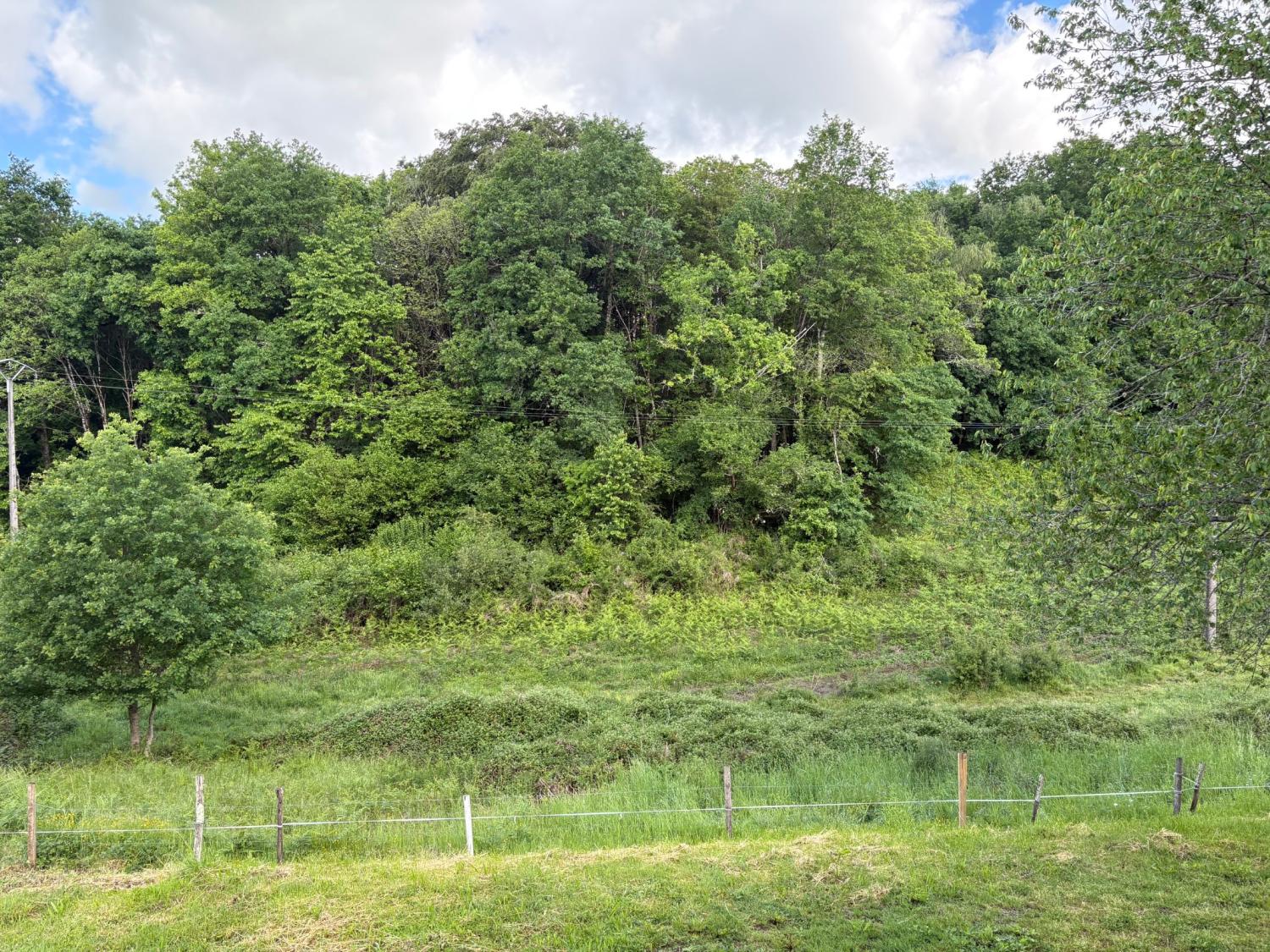 à vendre ferme Coussac-Bonneval Haute-Vienne 5