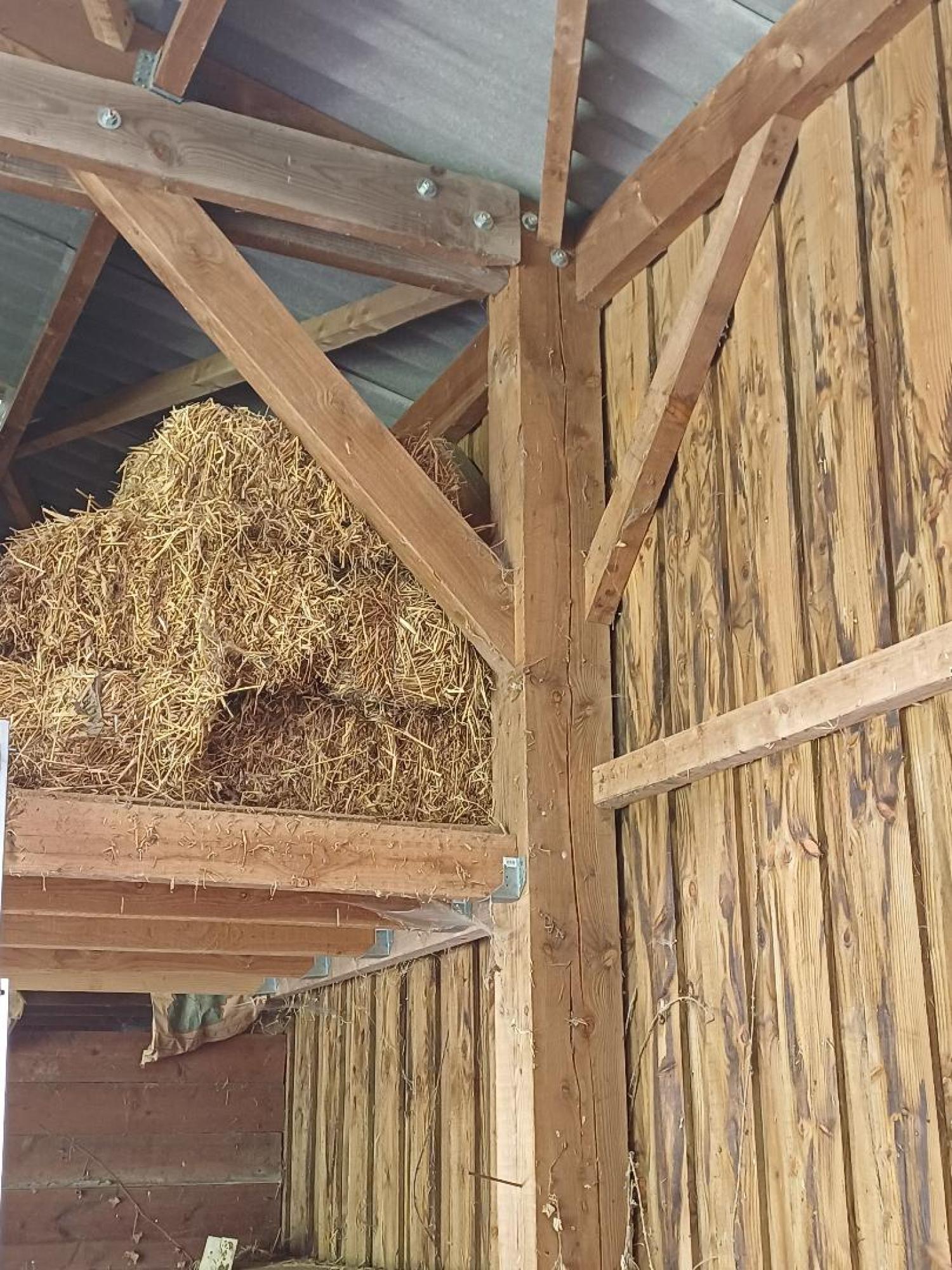 à vendre maison Saint-Plantaire Indre 28