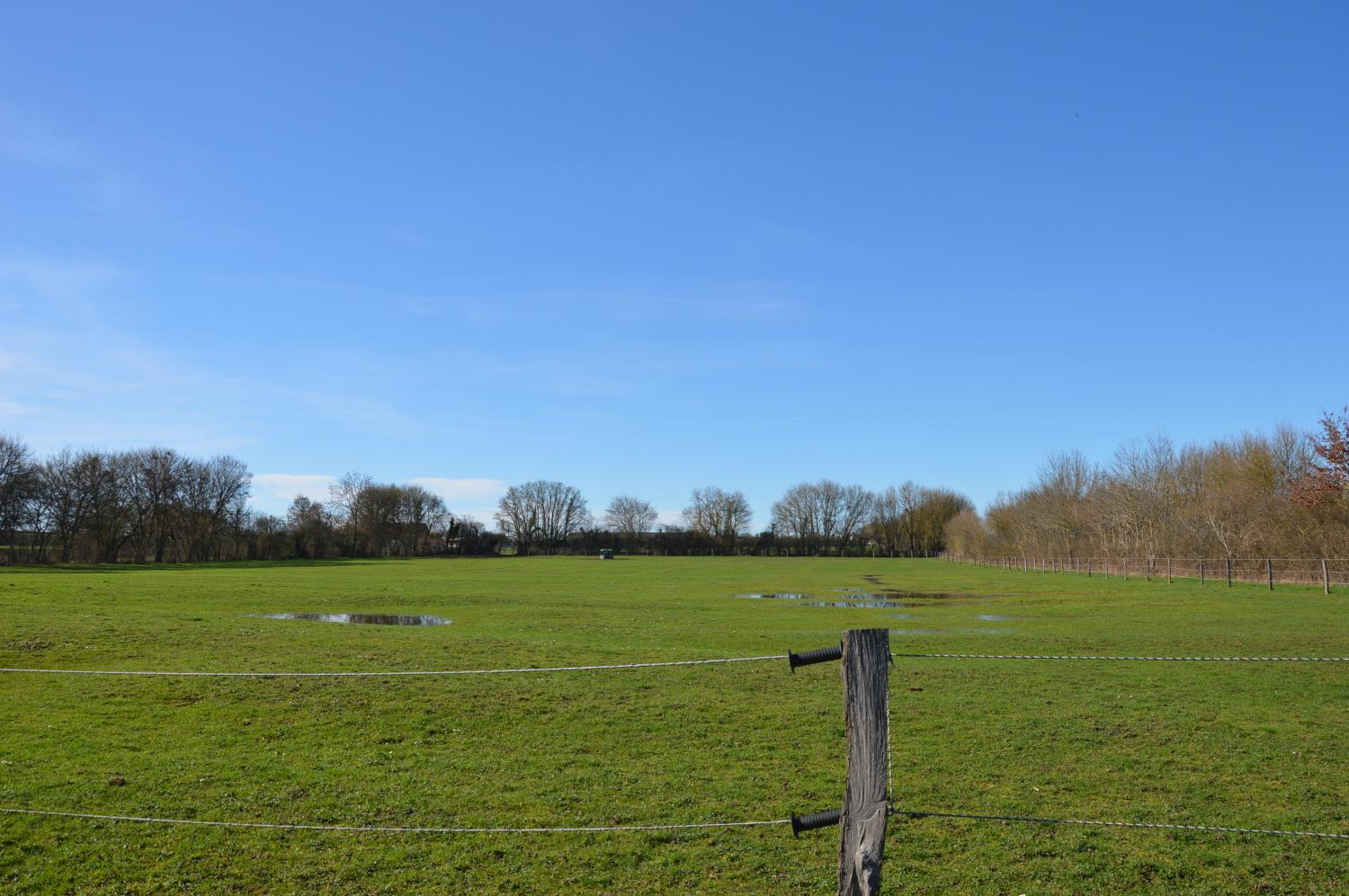  à vendre propriété La Guerche-sur-l'Aubois Cher 4