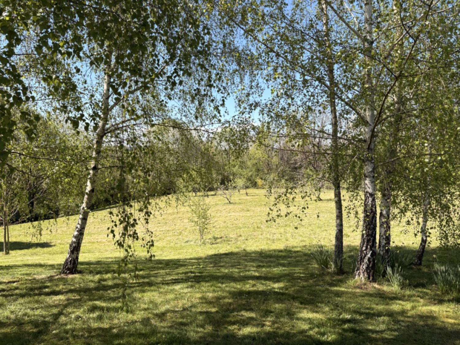  à vendre maison avec gîte Lascaux Corrèze 27