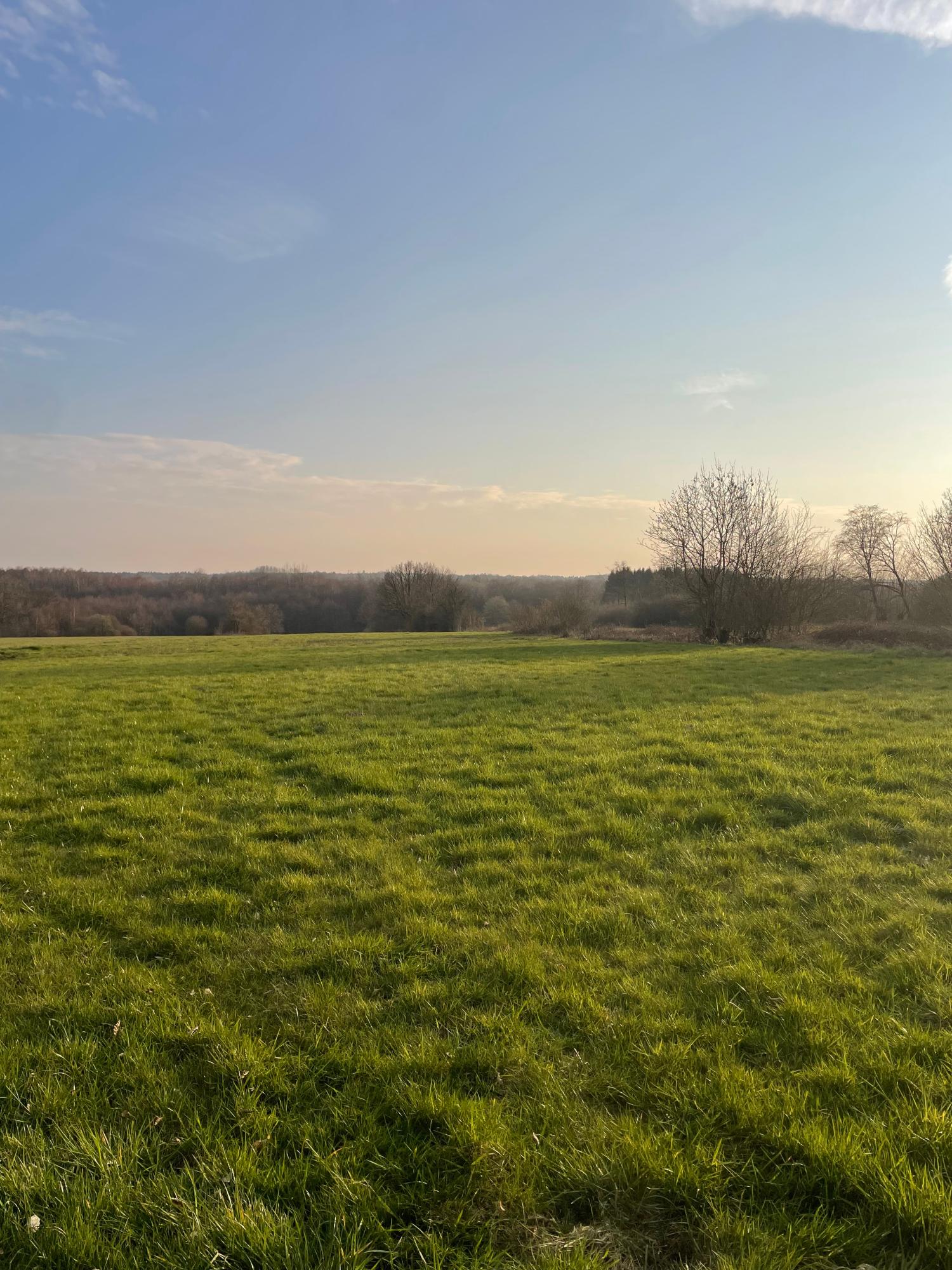 à vendre terrain à bâtir Taillette Ardennes 2