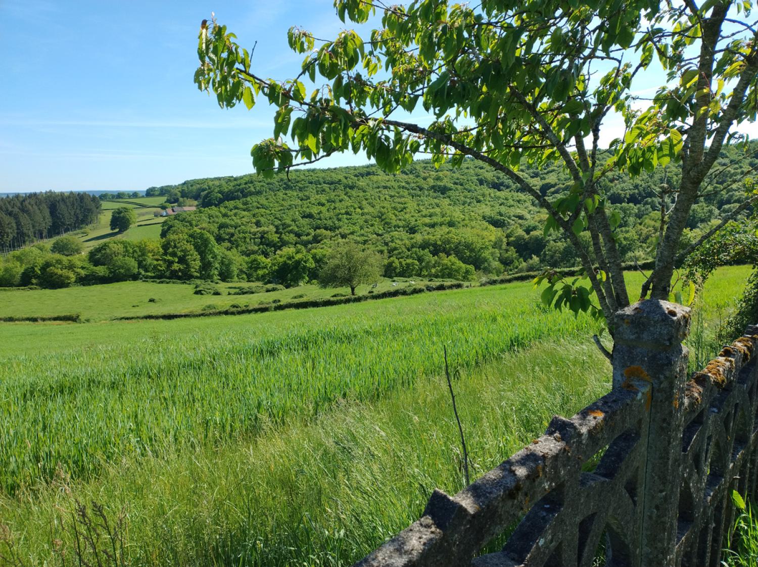  à vendre ferme Uxeau Saône-et-Loire 9