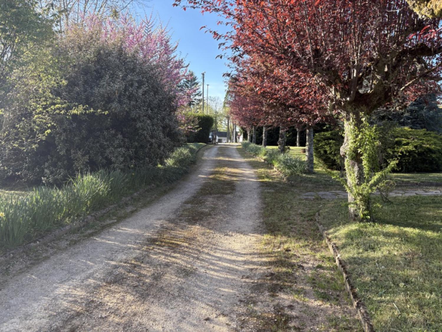  à vendre maison indépendant Lubersac Corrèze 4