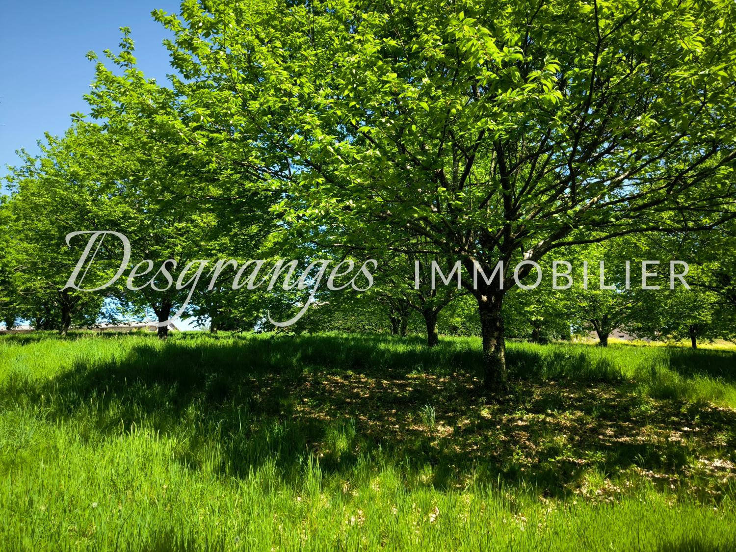 à vendre ferme Concèze Corrèze 9
