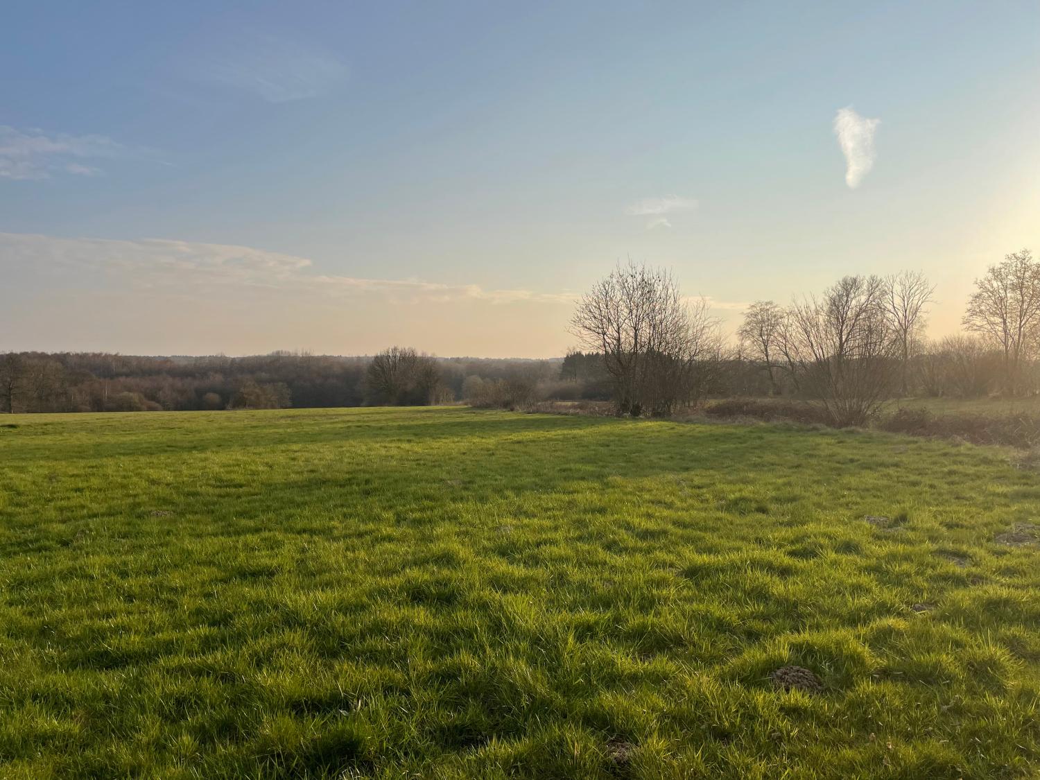 à vendre terrain à bâtir Taillette Ardennes 1