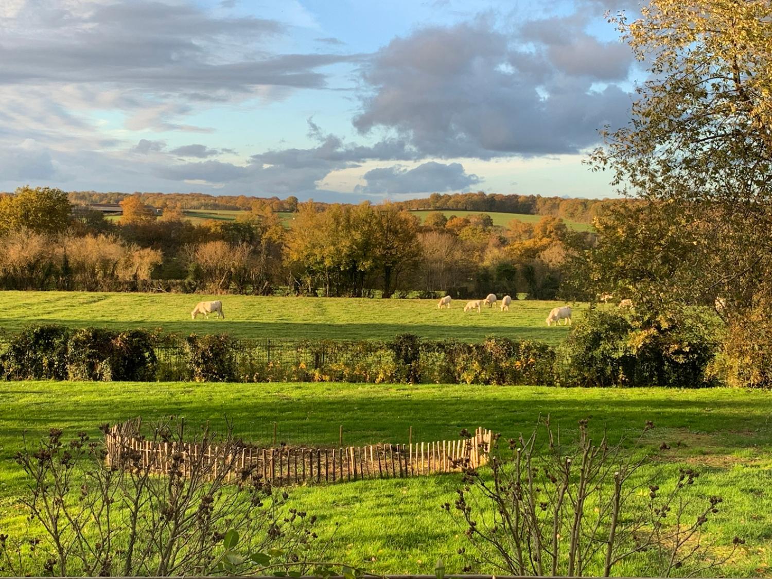 à vendre maison indépendant Cronat Saône-et-Loire 29