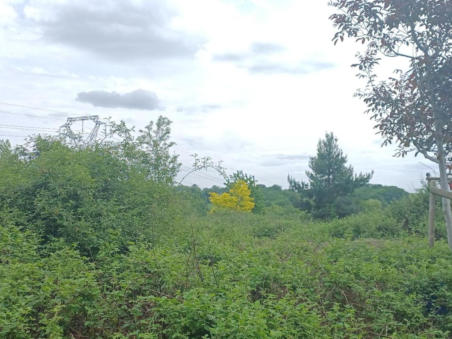 à vendre maison Saint-Plantaire Indre 11