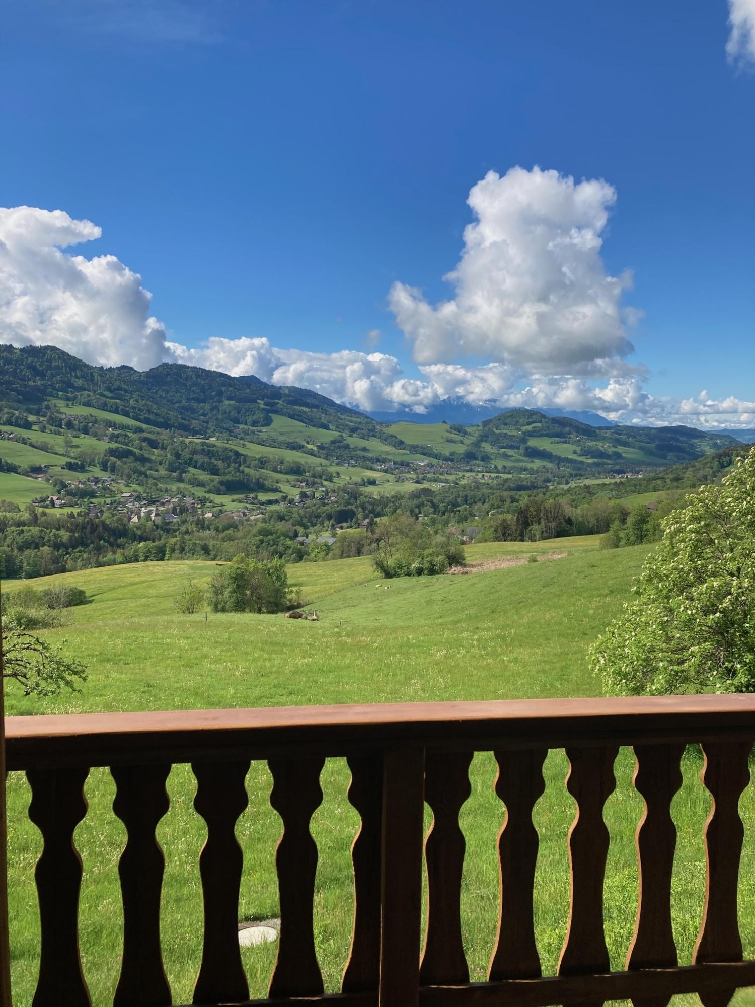 à vendre ferme Habère-Poche Haute-Savoie 3