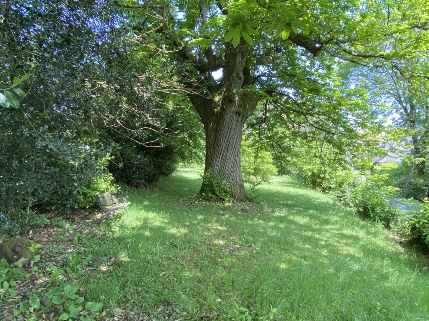 à vendre maison indépendant Juillac Corrèze 19