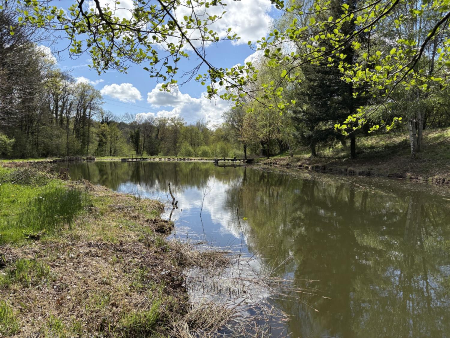 à vendre maison indépendant Château-Chervix Haute-Vienne 14
