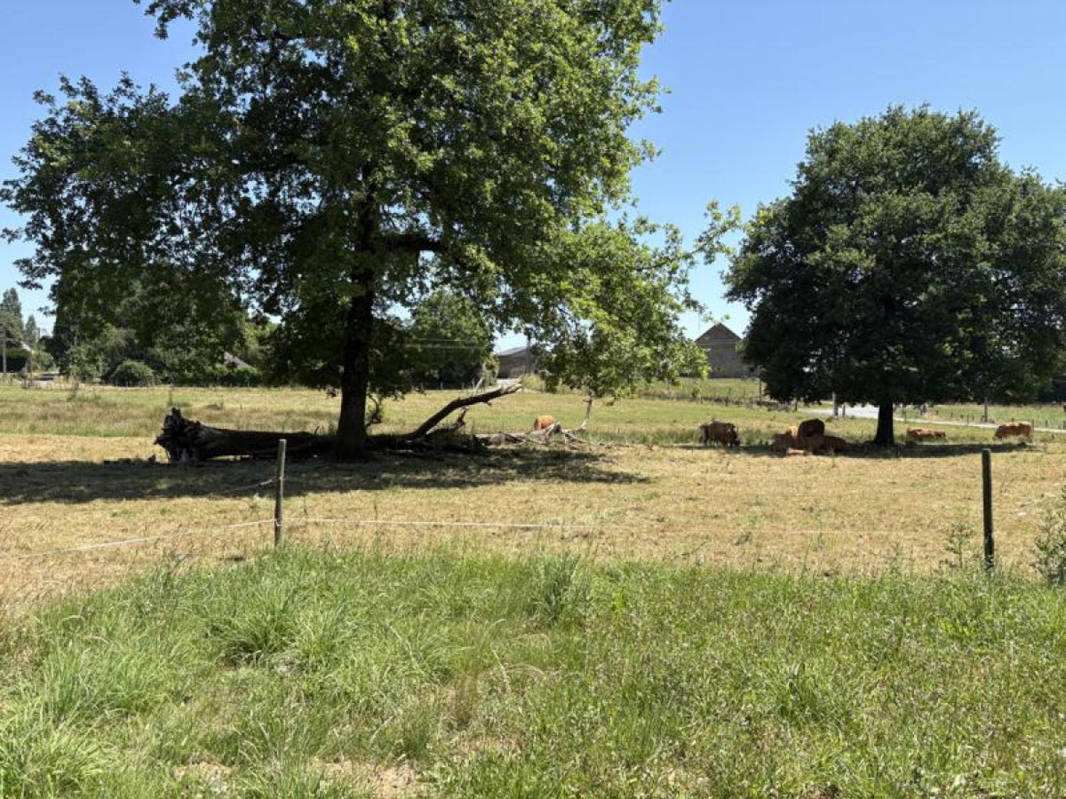  à vendre maison avec gîte Beyssenac Corrèze 25