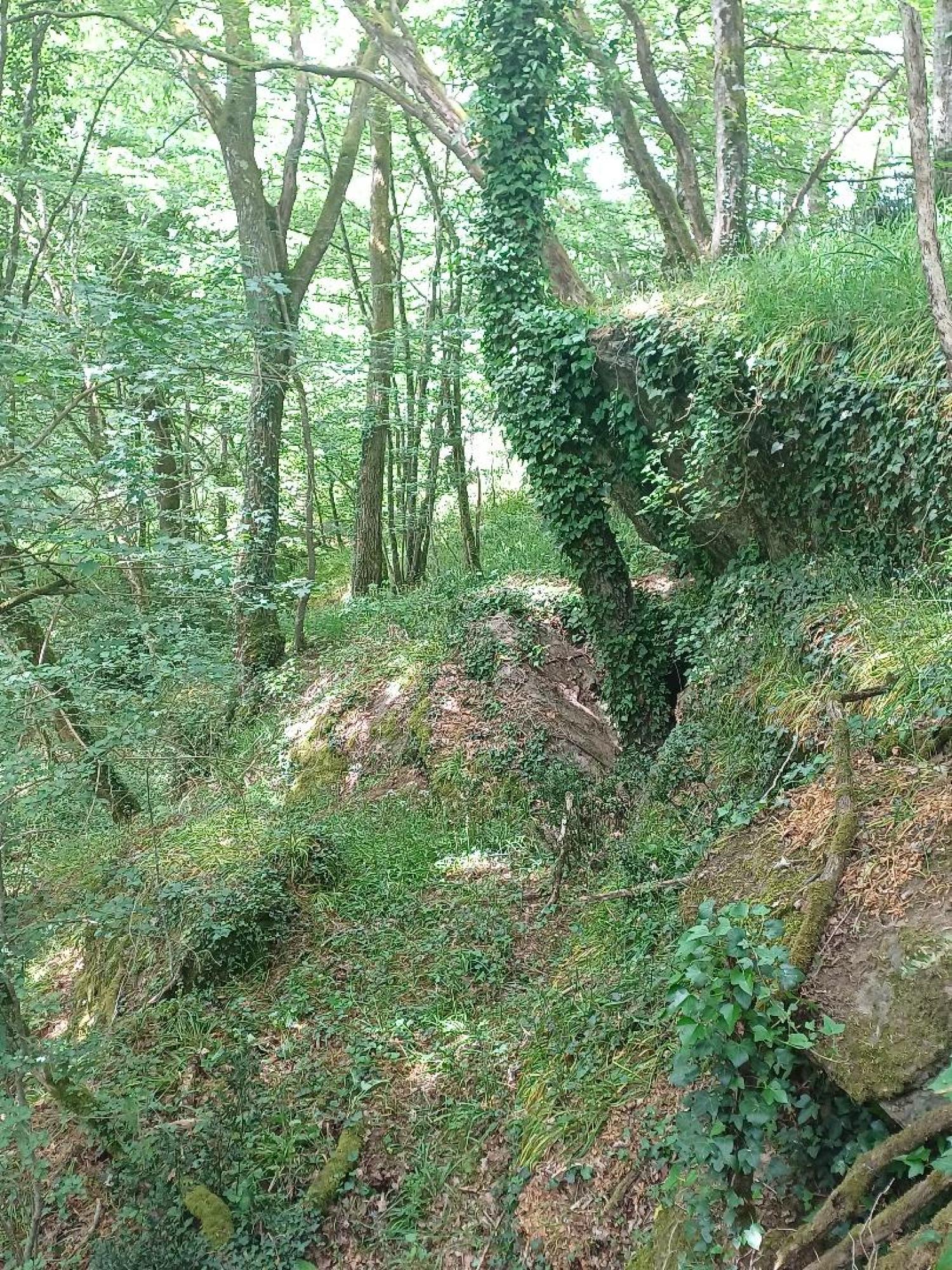 à vendre maison Saint-Plantaire Indre 31