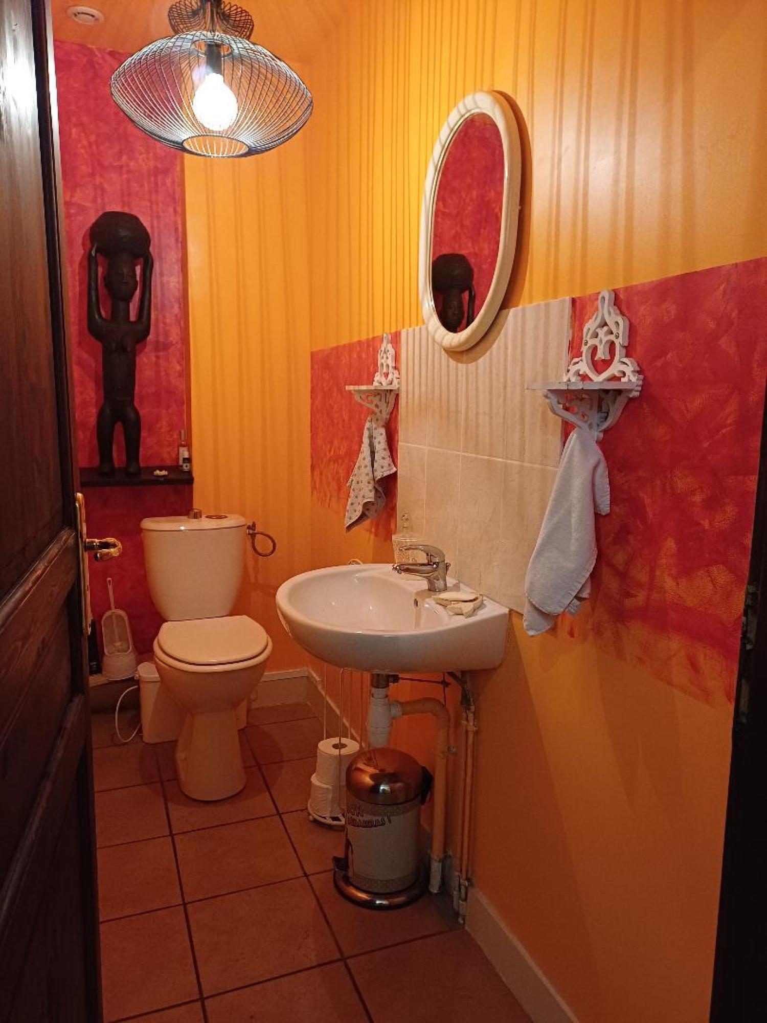 à vendre maison Saint-Plantaire Indre 21