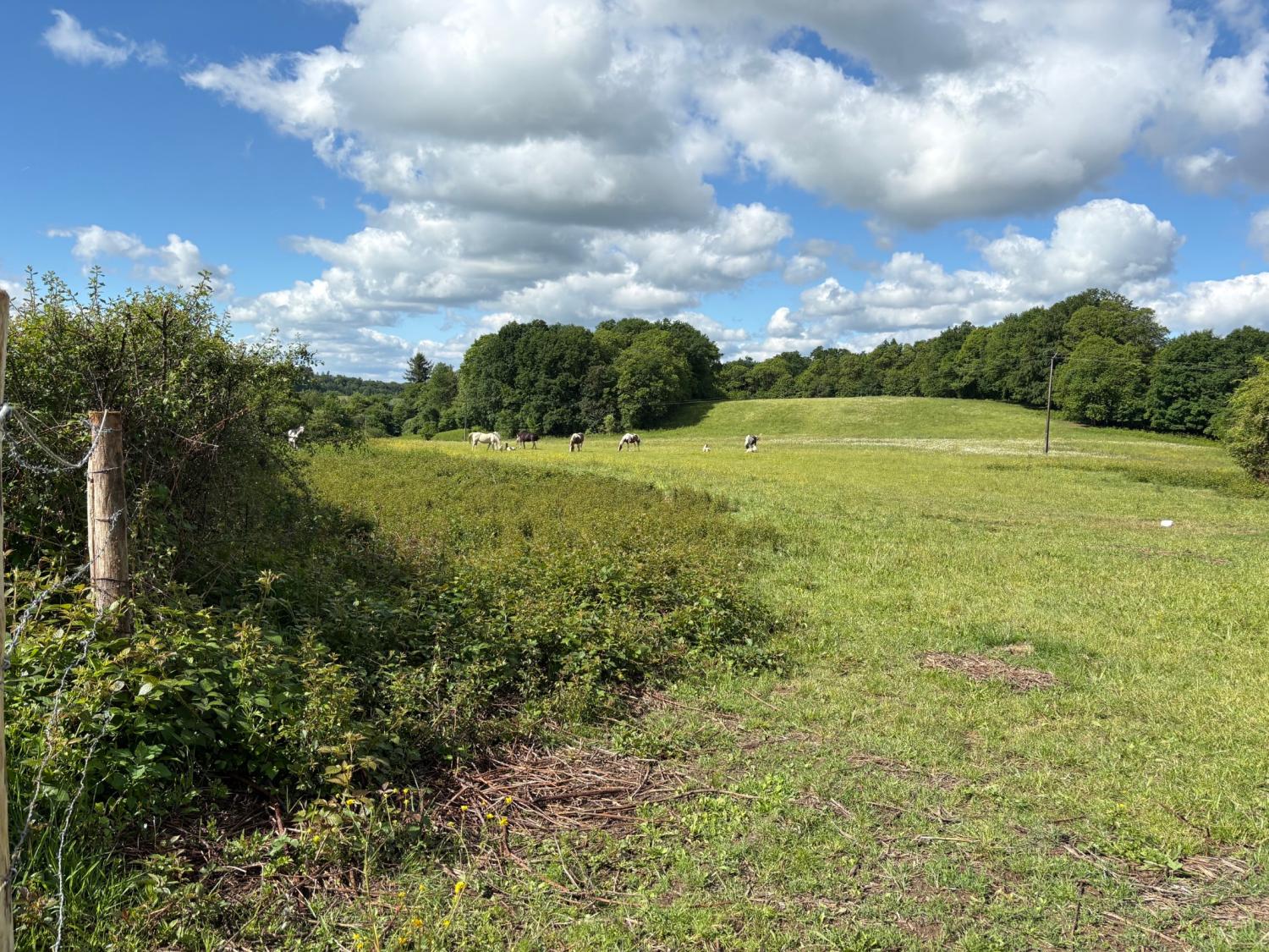 à vendre ferme Coussac-Bonneval Haute-Vienne 4