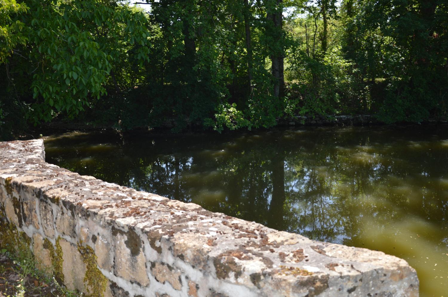  à vendre propriété La Guerche-sur-l'Aubois Cher 19