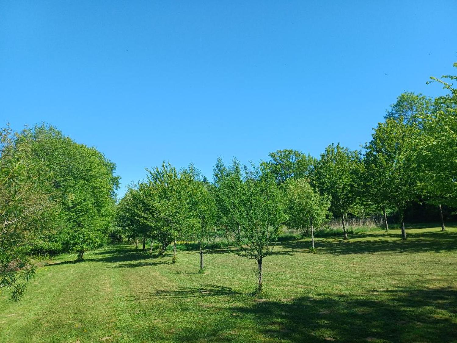 à vendre maison Saint-Plantaire Indre 39