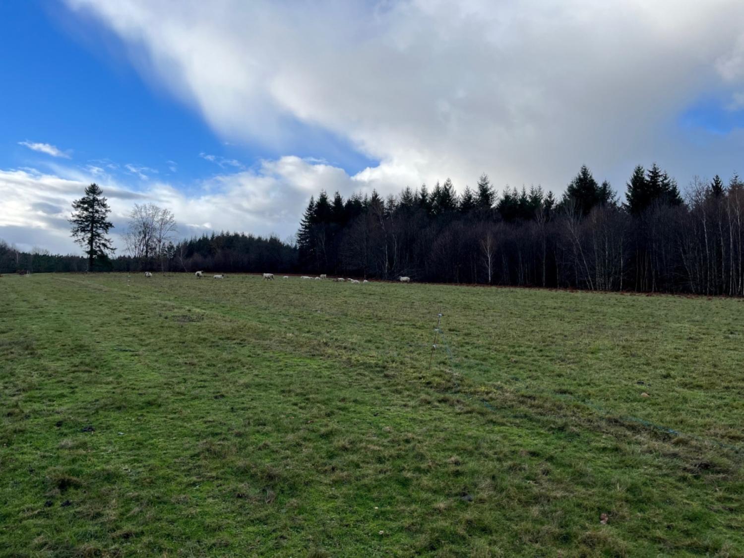 à vendre ferme Saint-Yrieix-la-Perche Haute-Vienne 5