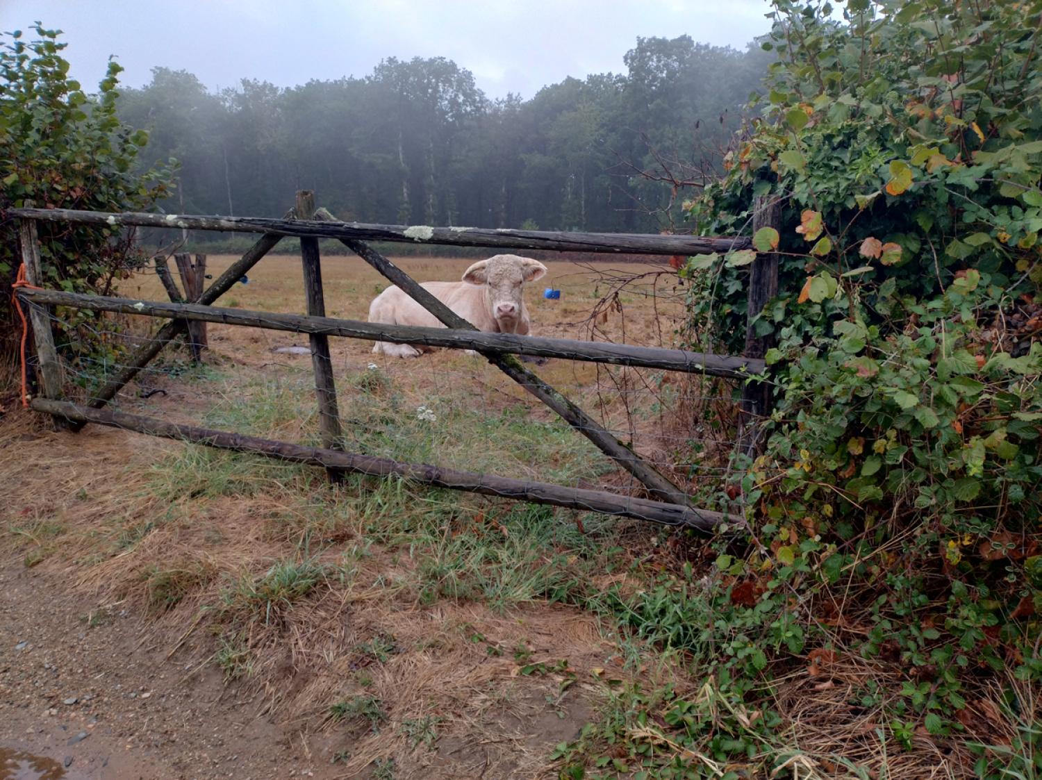  à vendre ferme Uxeau Saône-et-Loire 16