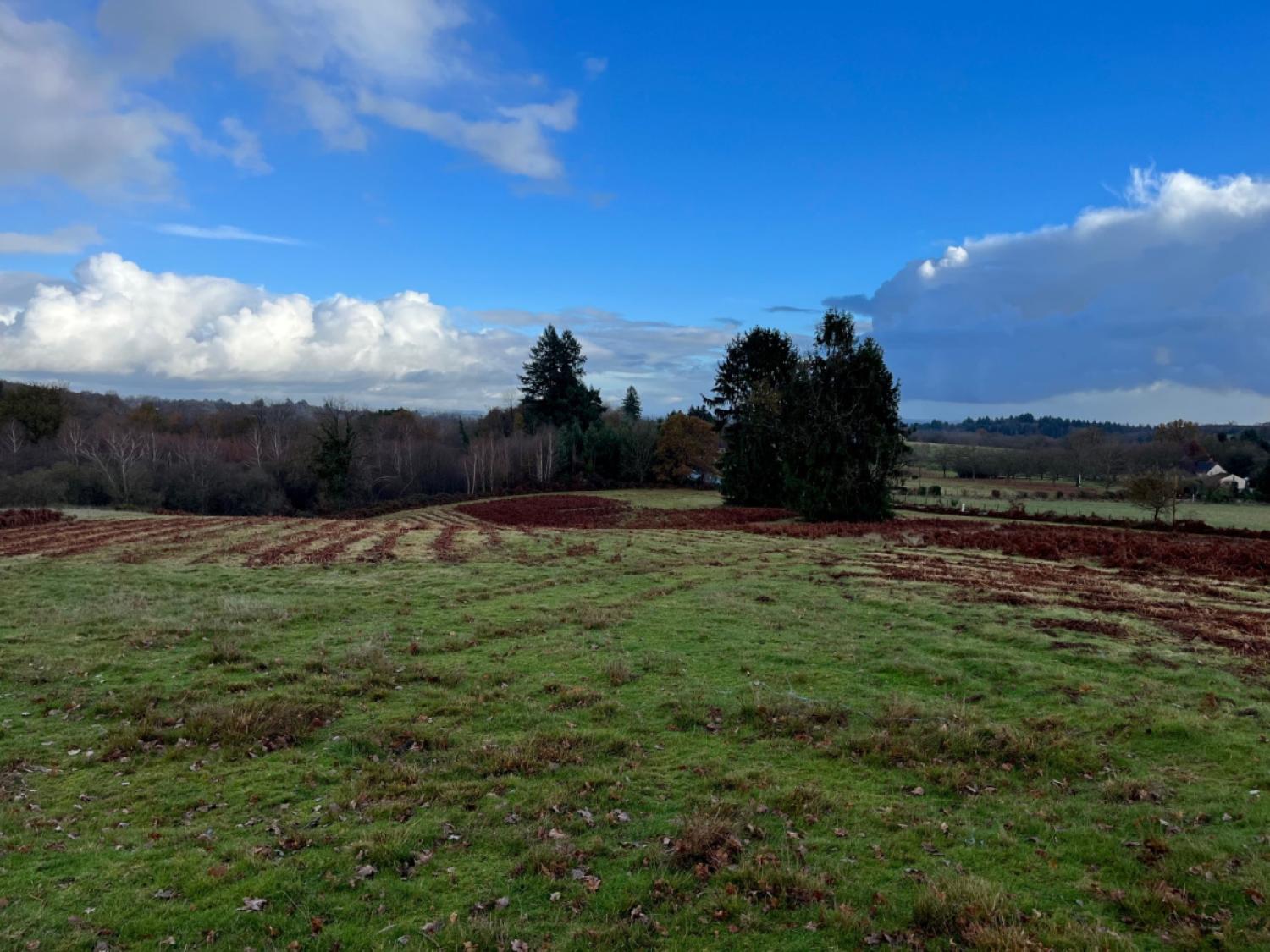 à vendre ferme Saint-Yrieix-la-Perche Haute-Vienne 19
