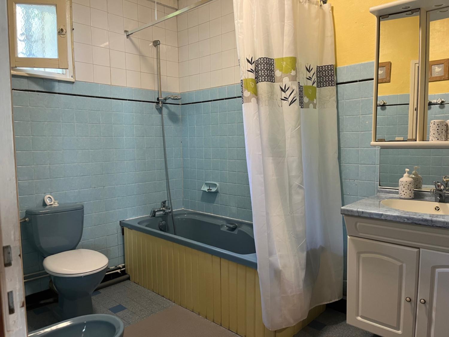  à vendre gîtes/ chambres d'hôtes La Coquille Dordogne 14