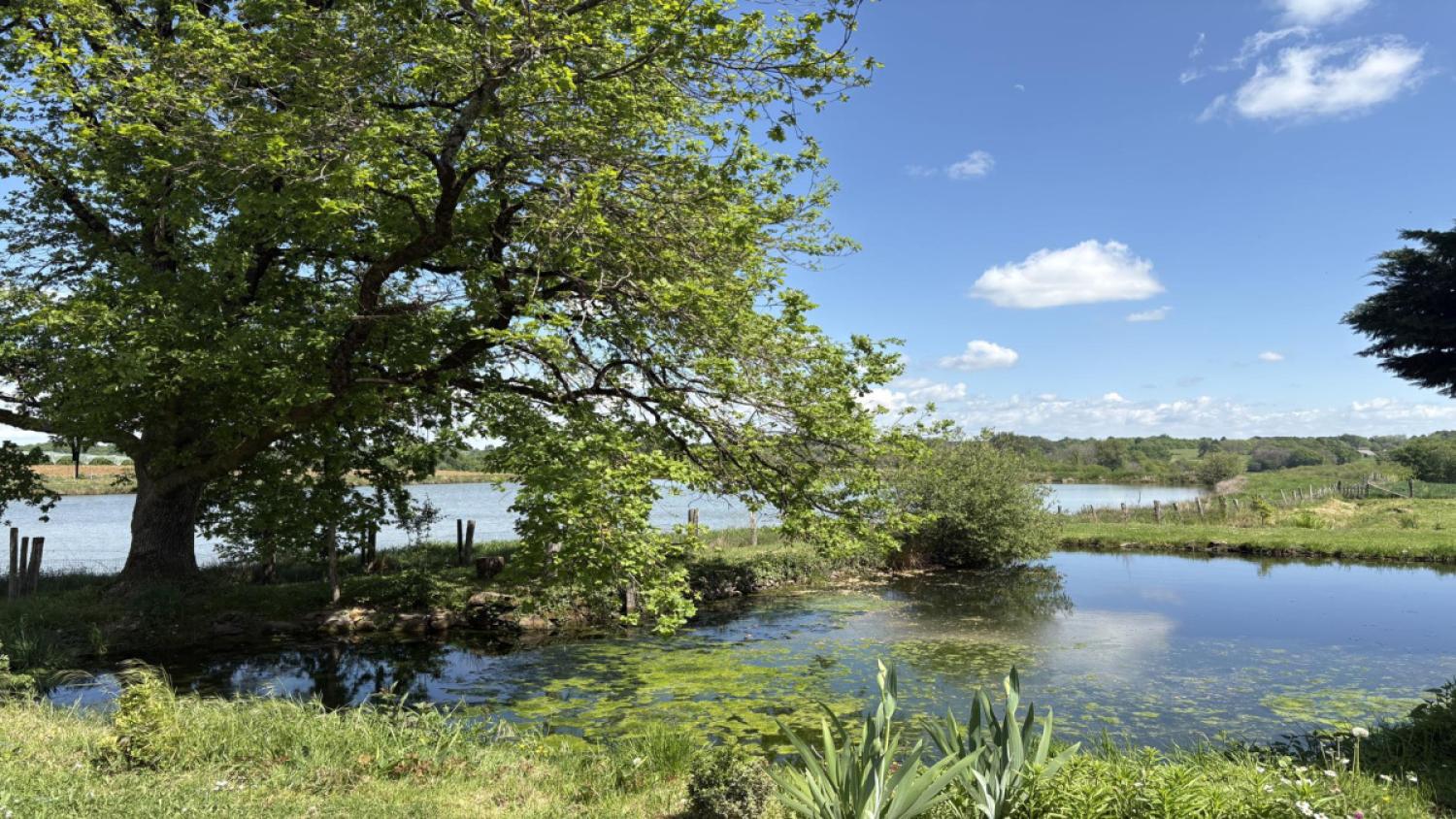  à vendre maison indépendant Beyssac Corrèze 6