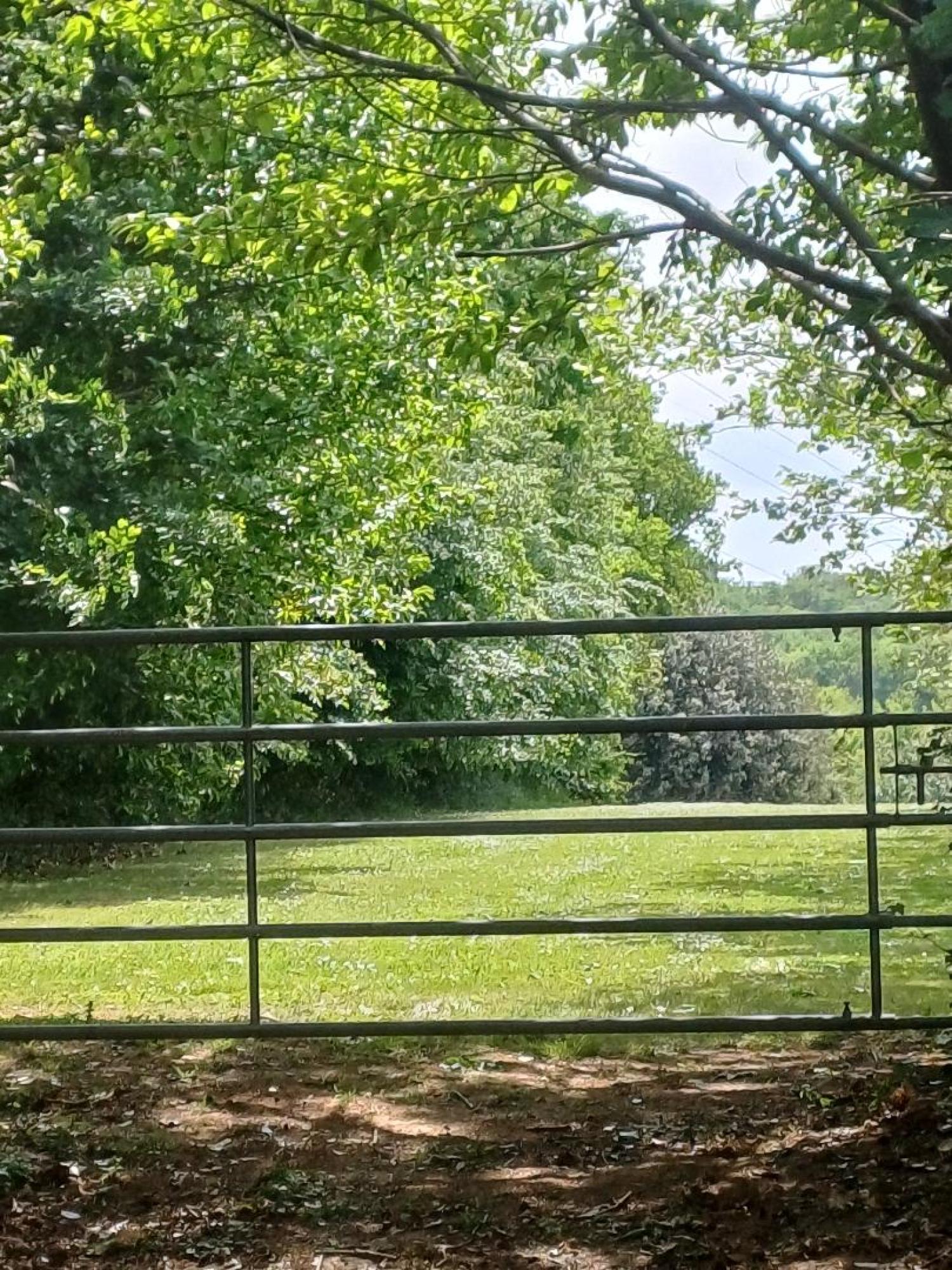 à vendre maison Saint-Plantaire Indre 41