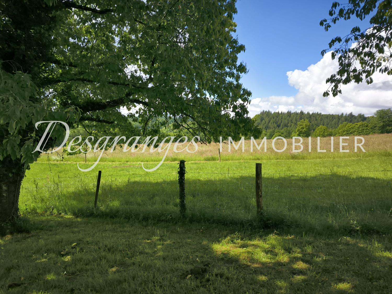 à vendre propriété Payzac Dordogne 10