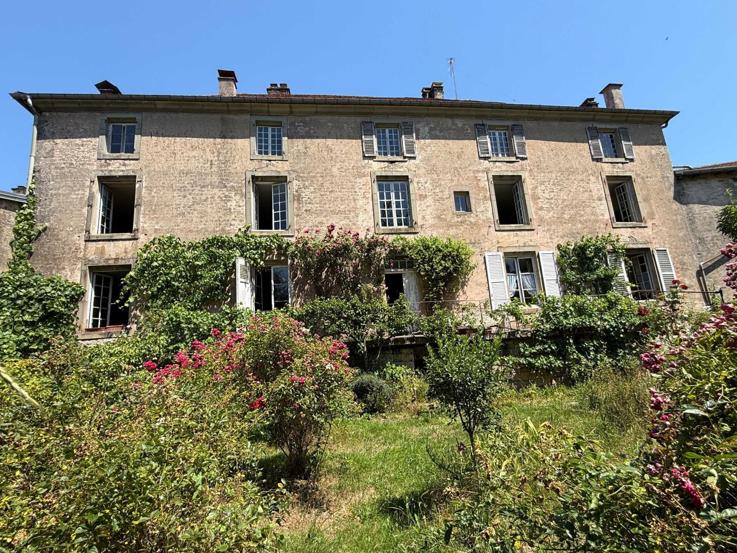 à vendre maison bourgeoise Châtillon-sur-Saône Vosges 43
